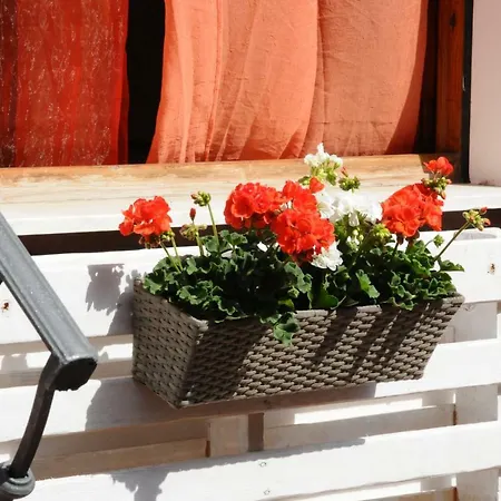 Bed & Breakfast Ajo Da Zietto